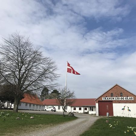 Tranum Lys Og Glas Brovst Exterior photo